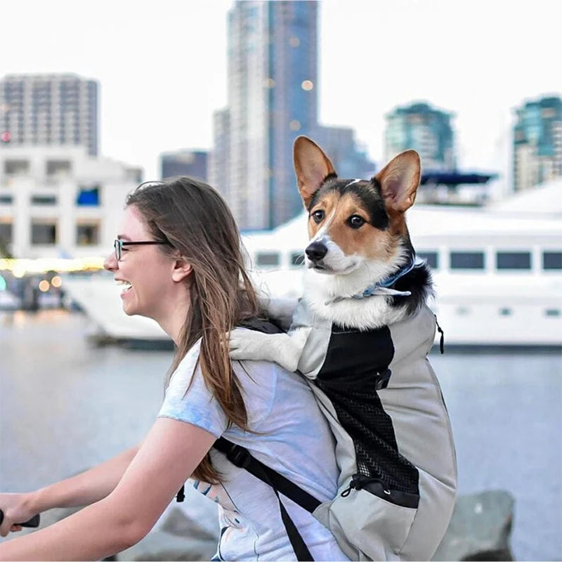 Sac Porte Chien Randonnée – Sac À Dos Respirant & Ajustable