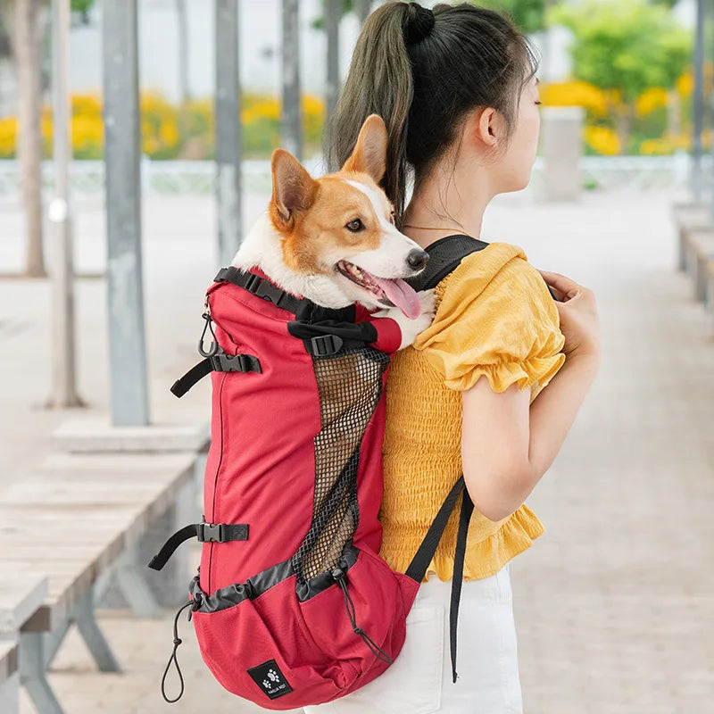 Sac Porte Chien Randonnée – Sac À Dos Respirant & Ajustable
