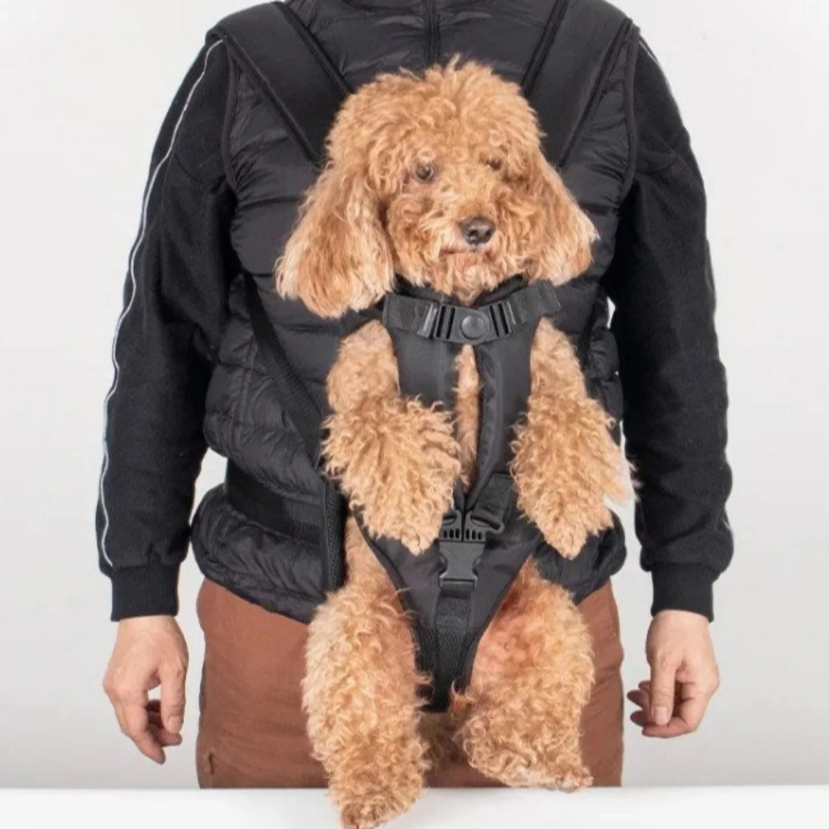 Sac Porte Chien Randonnée Ventral – Respirant, Ajustable & Ouverture Complète